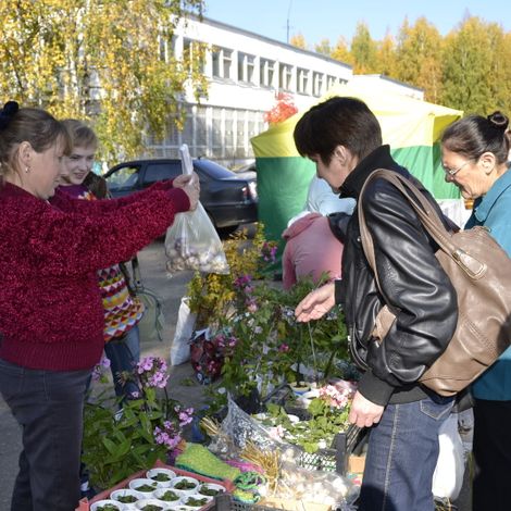 Семья Кармановых предлагает цветочные культуры.